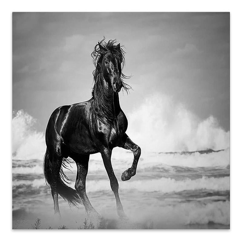 Πίνακας σε καμβά “Black Horse” Megapap ψηφιακής εκτύπωσης 60x60x3εκ.